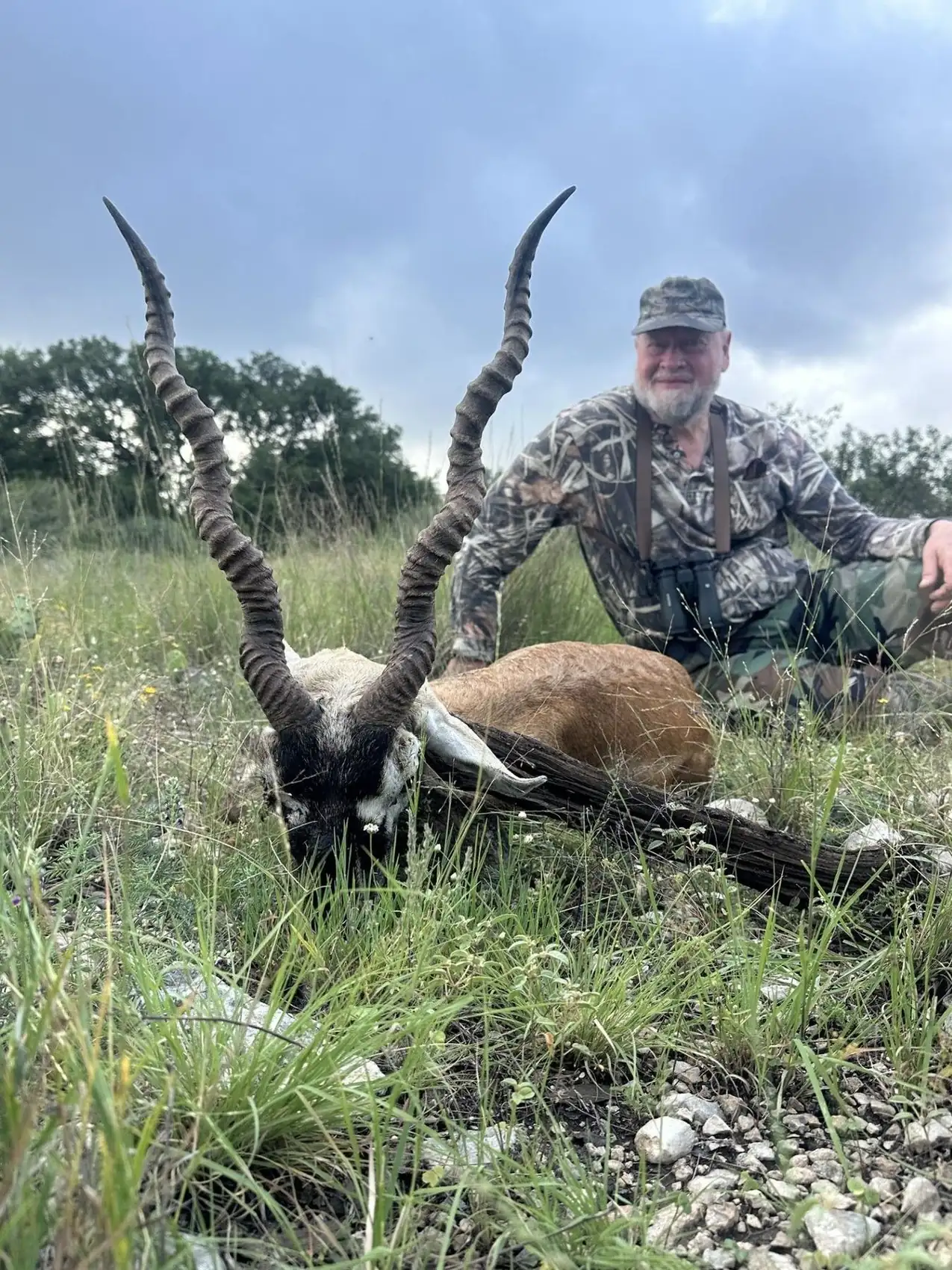 Texas Free-Range Blackbuck