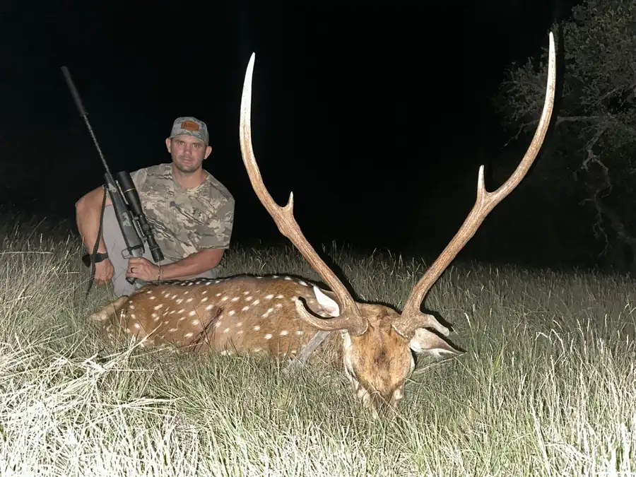Texas free-range axis hunt photo