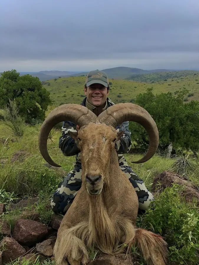 Guided spot-and-stalk hunt in the Texas hill country