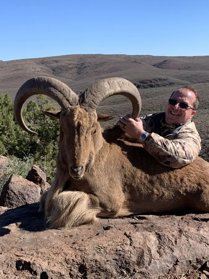West Texas Aoudad hunt with RPG Adventures in Texas