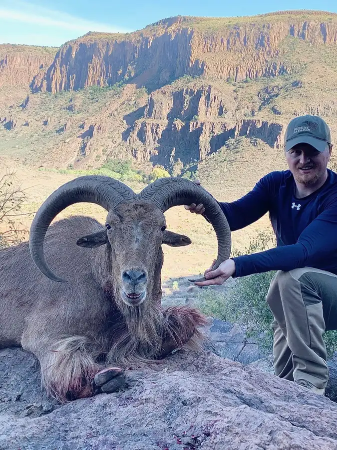West Texas Aoudad hunt with RPG Adventures in Texas