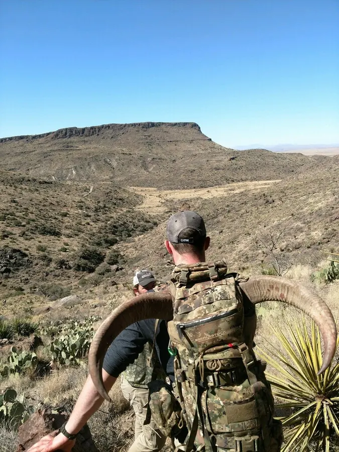 West Texas Aoudad hunt with RPG Adventures in Texas