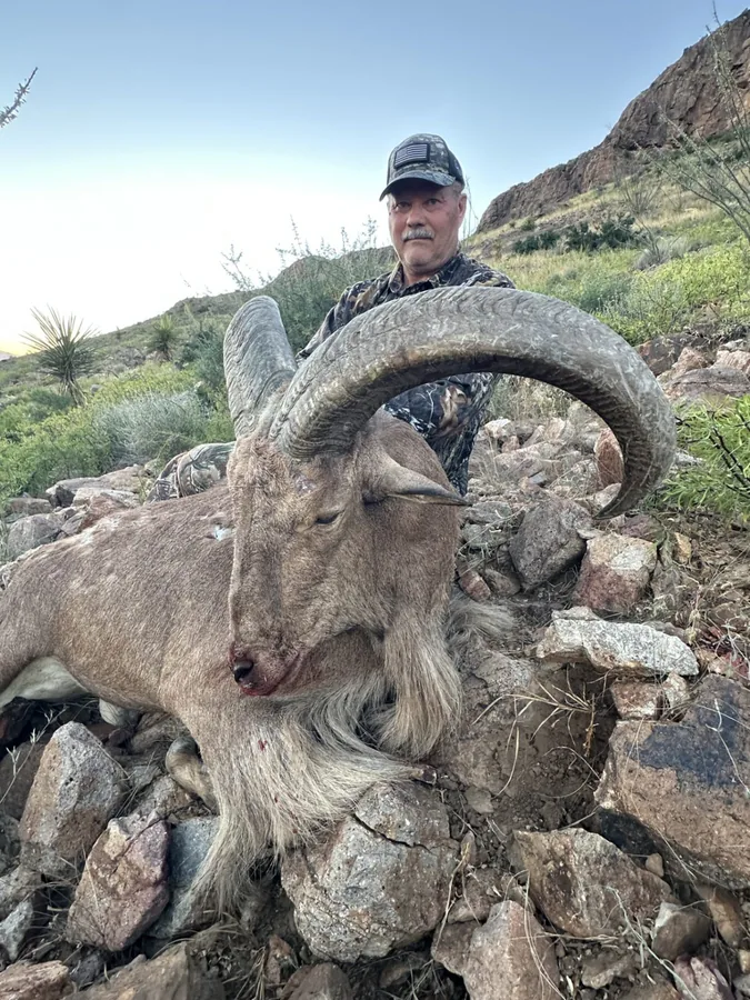 West Texas Aoudad hunt with RPG Adventures in Texas