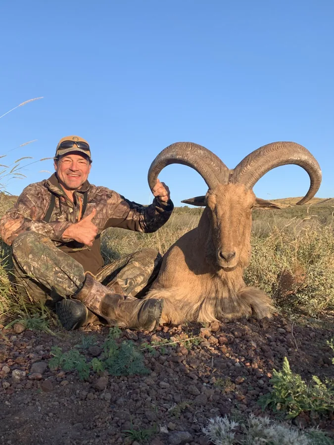 West Texas Aoudad hunt with RPG Adventures in Texas