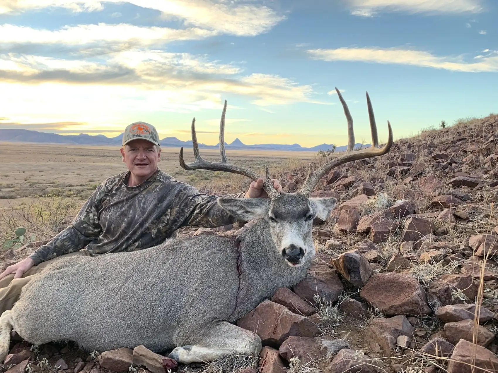 West Texas Mule Deer