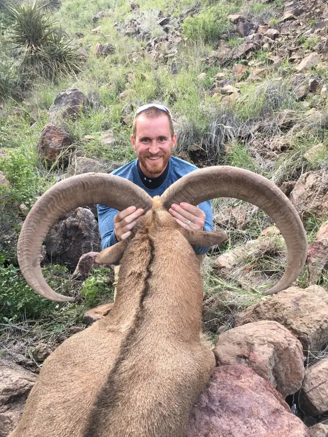 West Texas Aoudad hunt with RPG Adventures in Texas