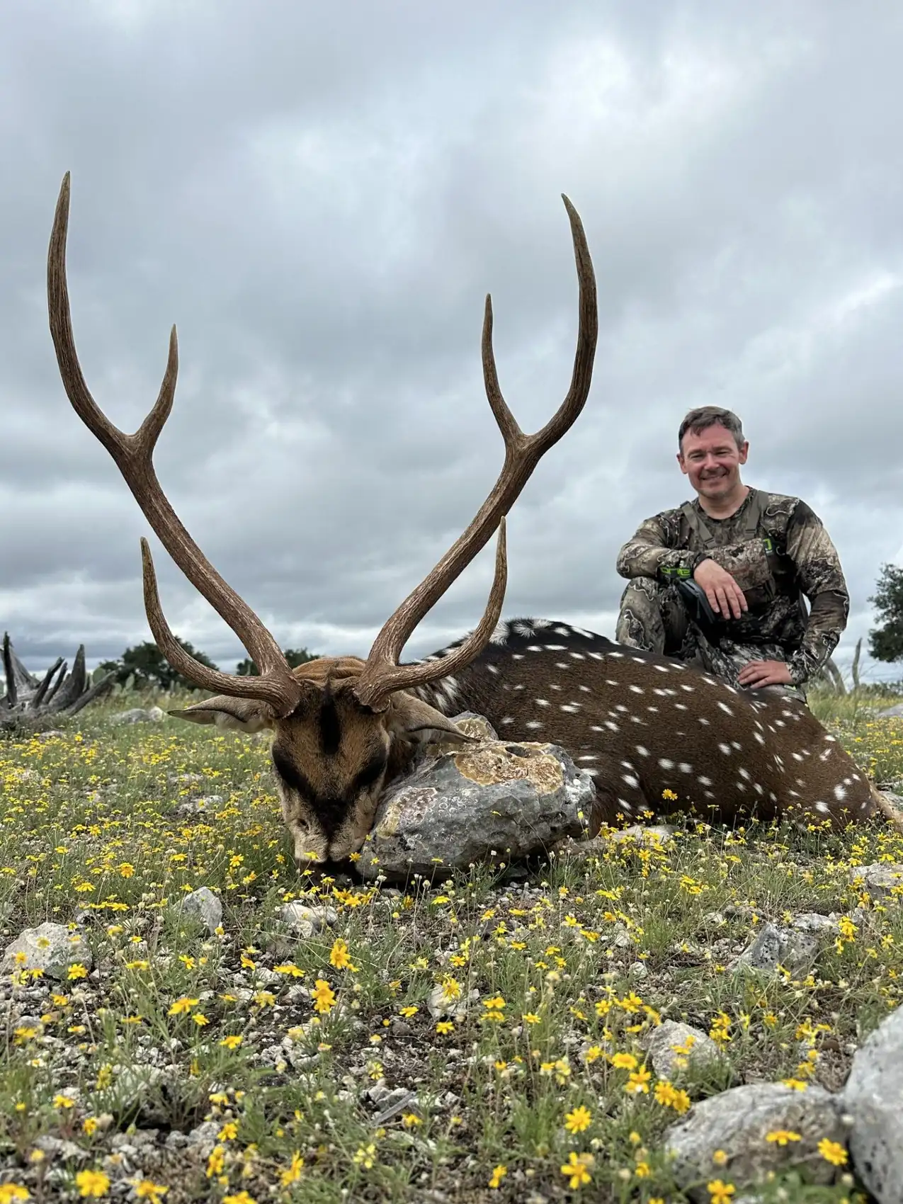 Texas Free-Range Axis